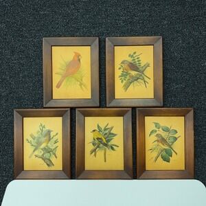 Vintage Ph Gonner Bird Prints Set of 5 Framed Wall Art Cardinal Goldfinch Wood
